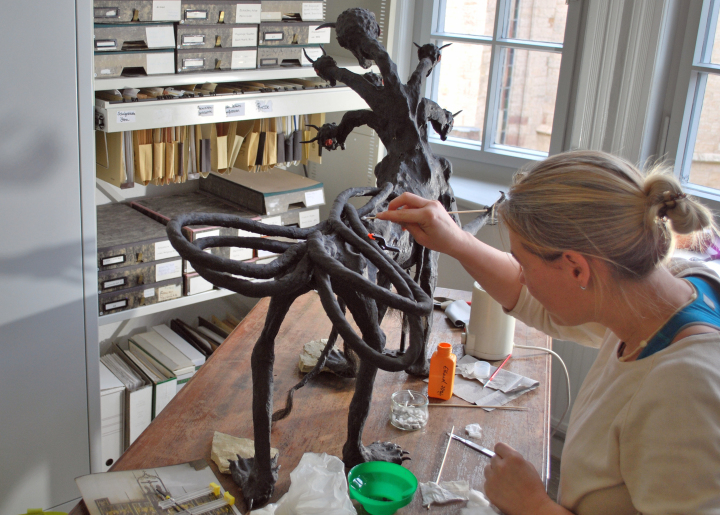 Restaurierung des Siebenköpfigen Drachen im Stadtmuseum Dezember 2020
